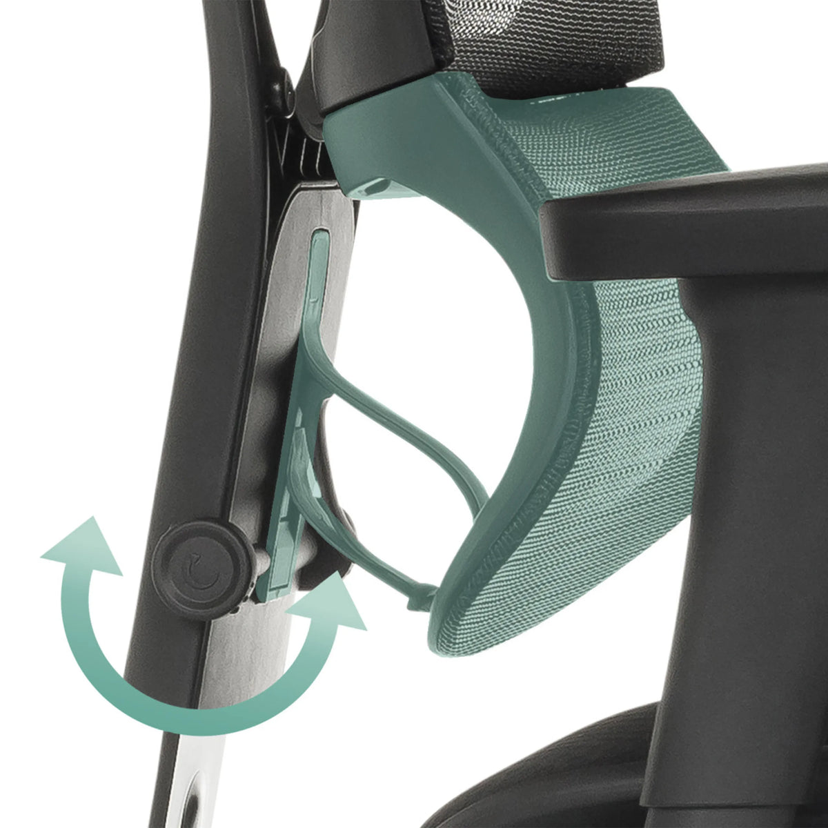 Verstellbarer Mechanismus der Rückenlehne des Luxus-Chefsessels ERGOHUMAN SLIM ECO F GEN2 von hjh OFFICE