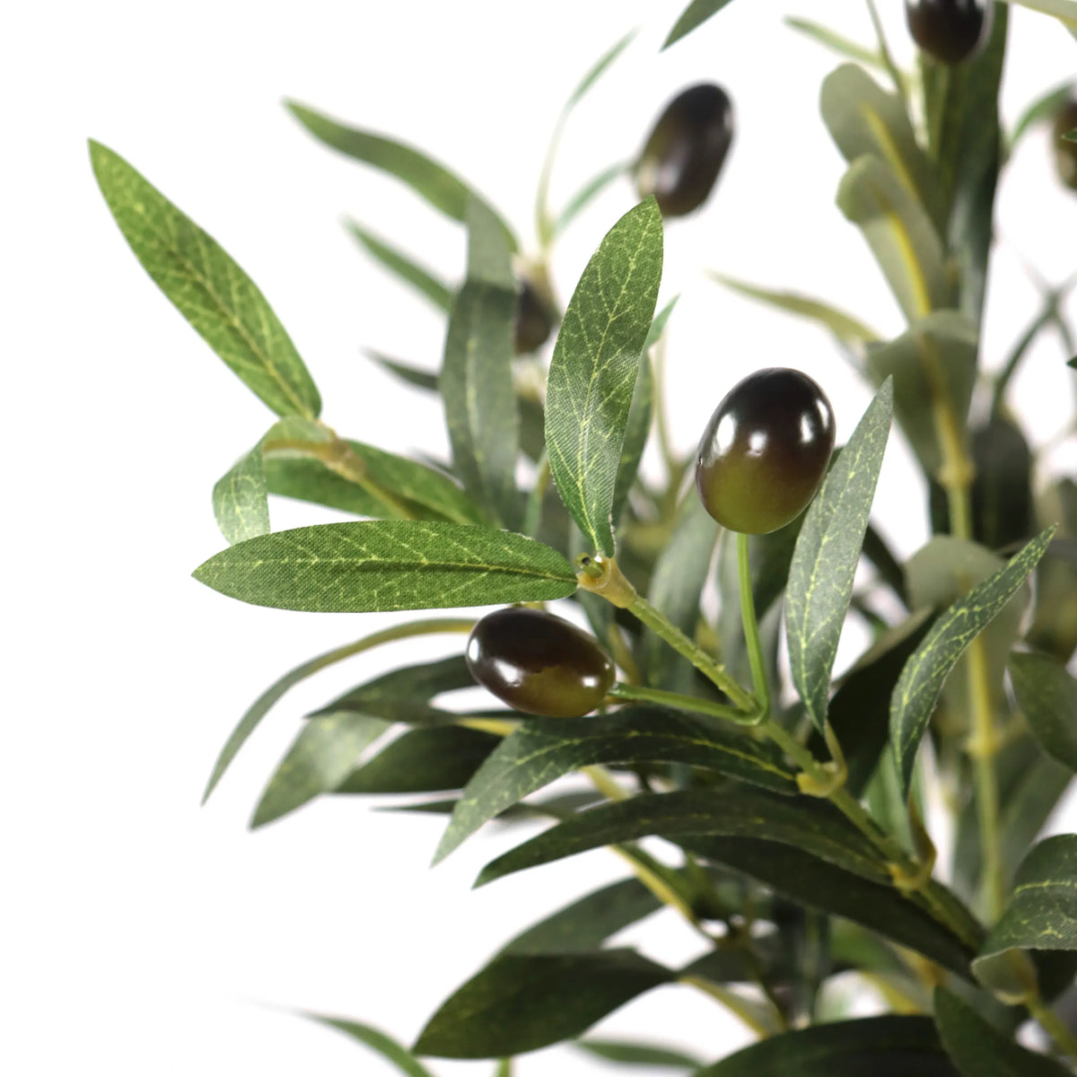 Grüne Blätter und dunkle Oliven der Kunstpflanze OLIVE I von hjh OFFICE
