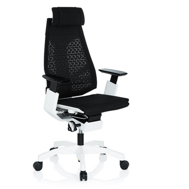 High-End-Bürostuhl GENIDIA PRO WHITE mit schwarzem Netzbezug und weißem Gestell von hjh OFFICE