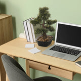 Kunstpflanze BONSAI als kleiner Bonsai in einem schwarzen Topf auf einem Schreibtisch von hjh OFFICE