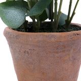 Terrakotta-Topf der Kunstpflanze Eucalyptus mit grünen Blättern von hjh OFFICE