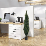 Grüne Kunstpflanze CEDRUS in einem schwarzen Top im Büro von hjh OFFICE
