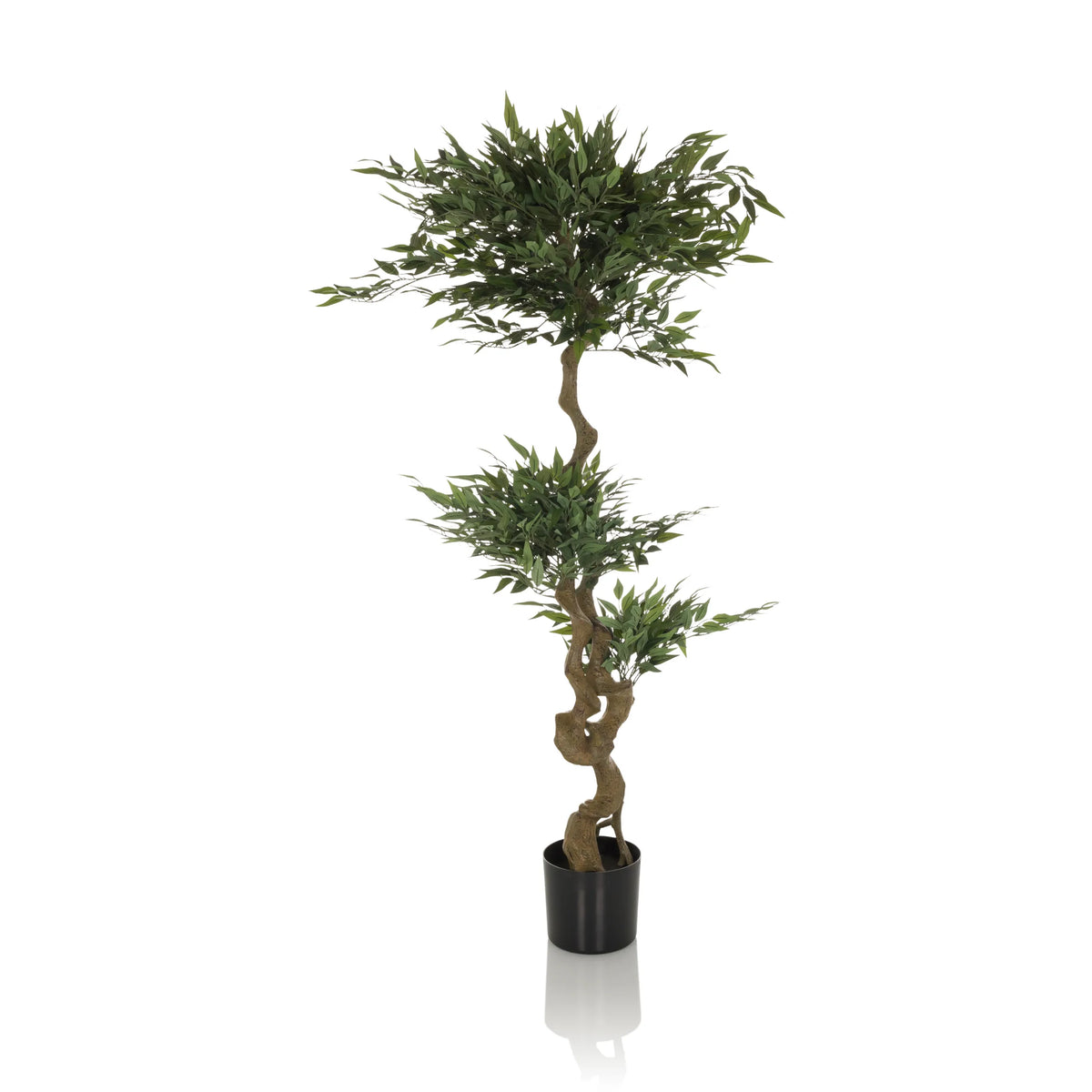 Kunstpflanze ACACIA Künstliche Pflanze Höhe 155.0 cm Strahlenaralie, hjh OFFICE, Höhe 155.0 cm, Künstliche Pflanze Zimmerpflanze Aralie, Kunstbaum im Kunststoff-Topf