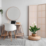 Kunstpflanze SPATHIPHYLLUM in Grün und Weiß in einem geflochtenen Korb von hjh OFFICE