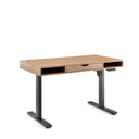 Worktime Style | 120x60 - Elektrisch höhenverstellbarer Schreibtisch