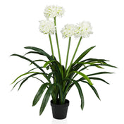 AGAPANTHUS - Kunstpflanze - buerostuhl24
