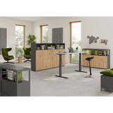 Drei Korpusse der Serie FlexWall mit Sockelgestell in Graphit und Holzfronten in einem modernen Büro von hjh OFFICE PRO