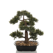BONSAI - Kunstpflanze - buerostuhl24