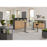 Schrankkombination FlexWall mit zwei Korpusselementen in Holzoptik und Graphit von hjh OFFICE PRO