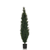 CEDRUS - Kunstpflanze - buerostuhl24