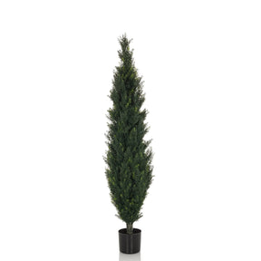 Grüne Kunstpflanze CEDRUS in schlanker Form mit schwarzem Pflanztopf von hjh OFFICE