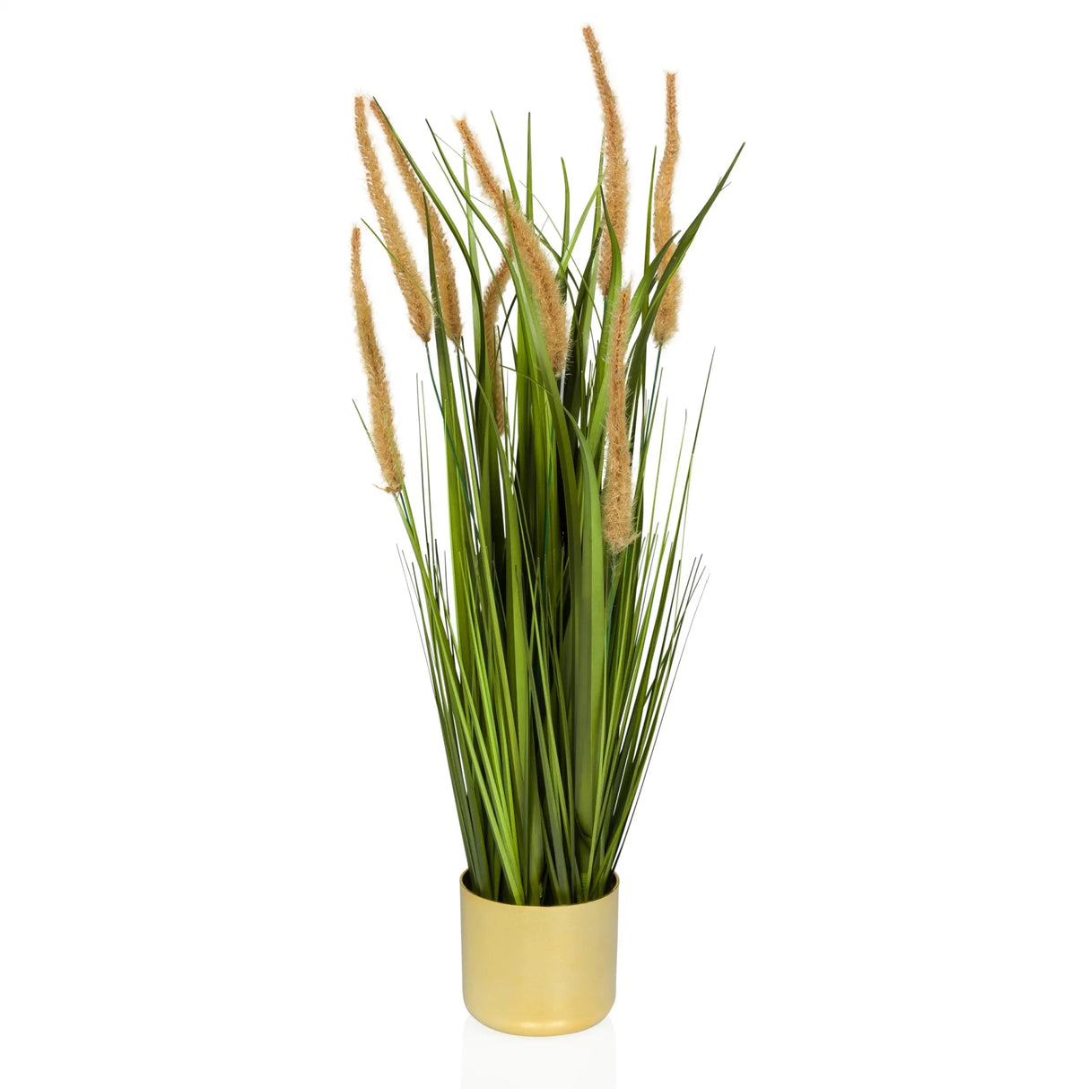 CORTADERIA I - Kunstpflanze