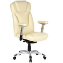 EMBASSY 200 - Profi Chefsessel - buerostuhl24