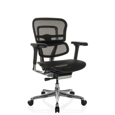 ERGOHUMAN BASE GEN2 | Netz - Luxus Chefsessel - buerostuhl24