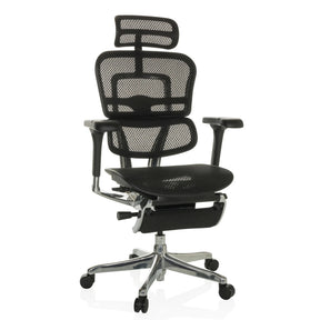 ERGOHUMAN PLUS LEGPRO GEN2 | Netz - Luxus Chefsessel - buerostuhl24