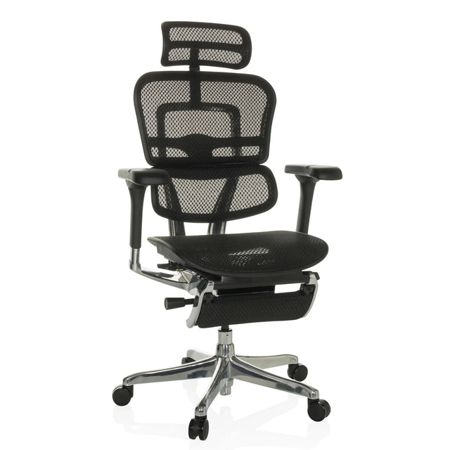 ERGOHUMAN PLUS LEGPRO GEN2 | Netz - Luxus Chefsessel - buerostuhl24