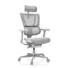 Luxus-Chefsessel ERGOHUMAN SLIM G GEN2 mit hellgrauem Netzbezug, Kopfstütze und Armlehnen von hjh OFFICE