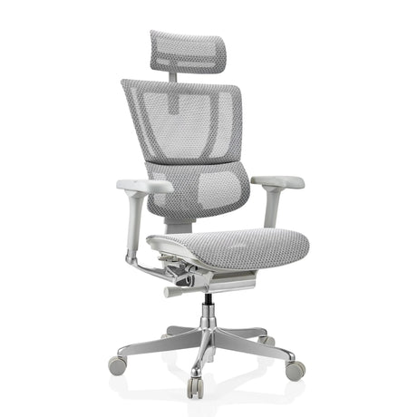 Luxus-Chefsessel ERGOHUMAN SLIM G GEN2 mit hellgrauem Netzbezug, Kopfstütze und Armlehnen von hjh OFFICE