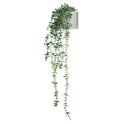 EUCALYPTUS CLIMB - Kunstpflanze - buerostuhl24