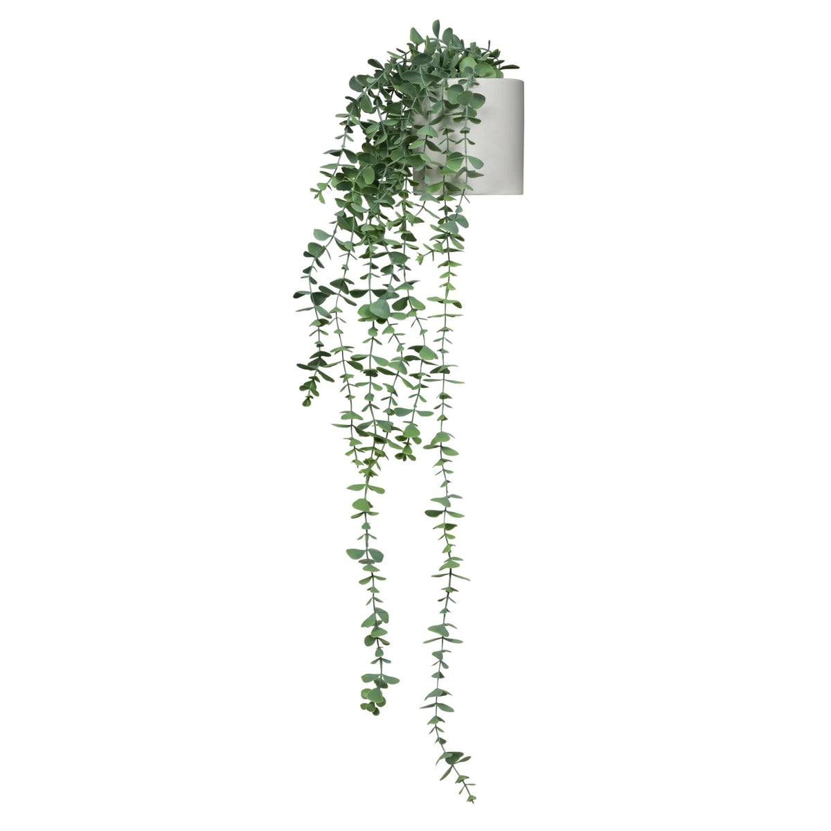 Grüne Kunstpflanze EUCALYPTUS CLIMB mit herabhängenden Blättern in einem weißen Topf von hjh OFFICE