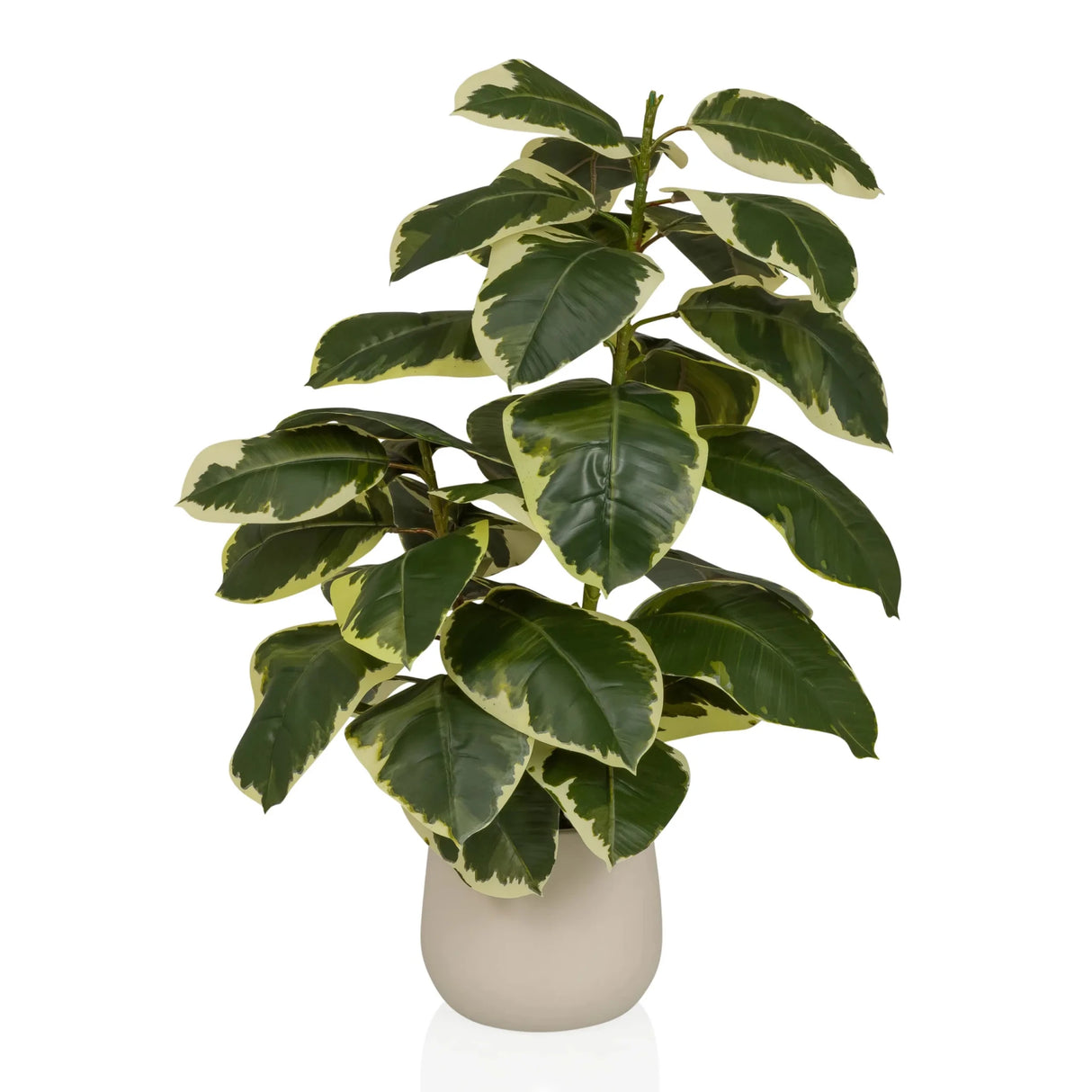 Ficus 3 - Kunstpflanze