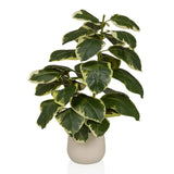 Ficus 3 - Kunstpflanze