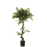 FICUS I - Kunstpflanze - buerostuhl24