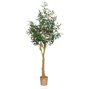 OLIVE II - Kunstpflanze - buerostuhl24
