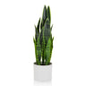 SANSEVIERIA - Kunstpflanze - buerostuhl24