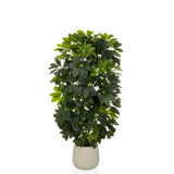 Schefflera 2 - Kunstpflanze