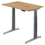 XBHM 12 GC | 120x80 | Schreibtisch elektrisch höhenverstellbar - buerostuhl24