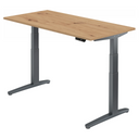 XBHM 16 GG | 160x80 | Schreibtisch elektrisch höhenverstellbar - buerostuhl24