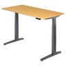 XBHM 16 GG | 160x80 | Schreibtisch elektrisch höhenverstellbar - buerostuhl24