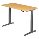 XBHM 16 GG | 160x80 | Schreibtisch elektrisch höhenverstellbar - buerostuhl24