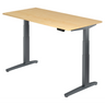 XBHM 16 GG | 160x80 | Schreibtisch elektrisch höhenverstellbar - buerostuhl24