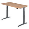 XBHM 16 GG | 160x80 | Schreibtisch elektrisch höhenverstellbar - buerostuhl24