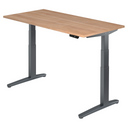 XBHM 16 GG | 160x80 | Schreibtisch elektrisch höhenverstellbar - buerostuhl24