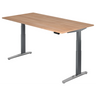 XBHM 2E GC | 200x100 | Schreibtisch elektrisch höhenverstellbar - buerostuhl24