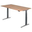 XBHM 2E GC | 200x100 | Schreibtisch elektrisch höhenverstellbar - buerostuhl24