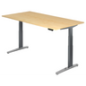 XBHM 2E GC | 200x100 | Schreibtisch elektrisch höhenverstellbar - buerostuhl24