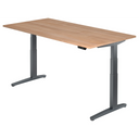 XBHM 2E GG | 200x100 | Schreibtisch elektrisch höhenverstellbar