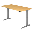 XBHM 2E SS | 200x100 | Schreibtisch elektrisch höhenverstellbar - buerostuhl24