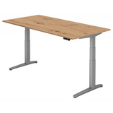 XBHM 2E SS | 200x100 | Schreibtisch elektrisch höhenverstellbar - buerostuhl24