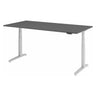 XBHM 2E SS | 200x100 | Schreibtisch elektrisch höhenverstellbar - buerostuhl24