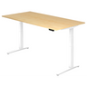 XBHM 2E WW | 200x100 | Schreibtisch elektrisch höhenverstellbar - buerostuhl24