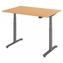 XDLR 12 G | 120x80 | Schreibtisch elektrisch höhenverstellbar - buerostuhl24