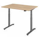 XDLR 12 G | 120x80 | Schreibtisch elektrisch höhenverstellbar - buerostuhl24