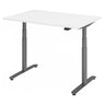 XDLR 12 G | 120x80 | Schreibtisch elektrisch höhenverstellbar - buerostuhl24