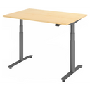 XDLR 12 G | 120x80 | Schreibtisch elektrisch höhenverstellbar - buerostuhl24
