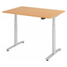 XDLR 12 S | 120x80 | Schreibtisch elektrisch höhenverstellbar - buerostuhl24